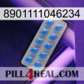 8901111046234 22
